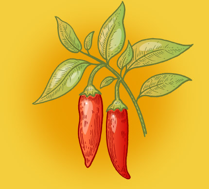 Paprika Fumé en poudre 550gr 1LP Isfi - Nevejan